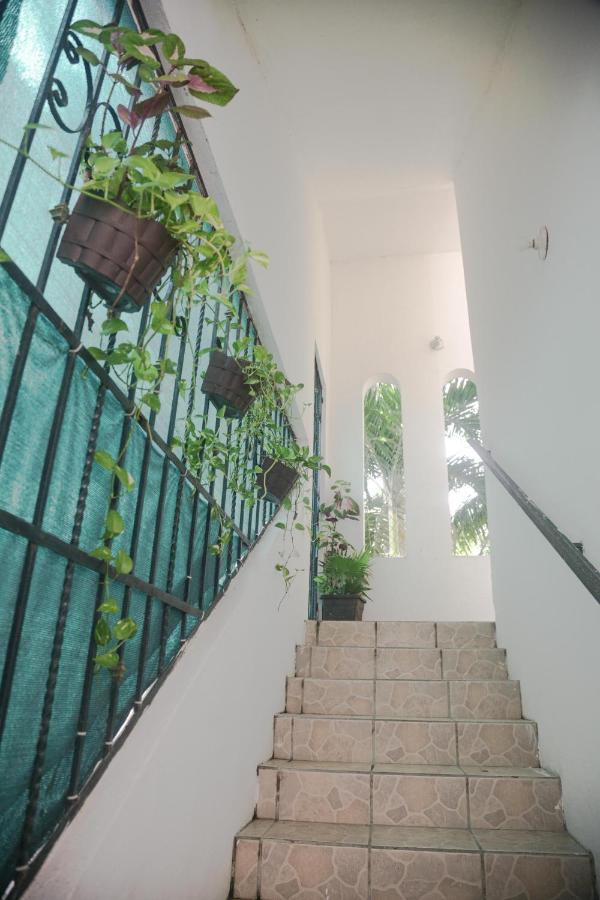 Navieros Rooms Bacalar Buitenkant foto